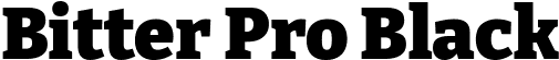 Bitter Pro Black font - BitterPro-Black.ttf