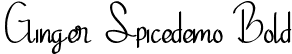 Ginger Spicedemo Bold font - GingerSpicedemoBold.ttf