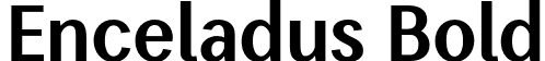 Enceladus Bold font - EnceladusBold-7BrER.otf