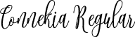 Connekia Regular font - connekia.ttf