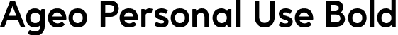 Ageo Personal Use Bold font - AgeoPersonalUse-Bold.otf