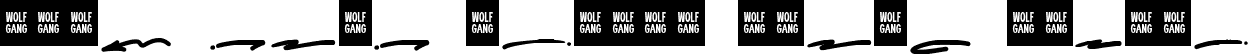 WOLF GANG SCRIPT SWASH Italic font - WOLF-GANG-SCRIPT-SWASH.ttf