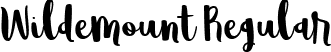 Wildemount Regular font - wildemount-demo.ttf