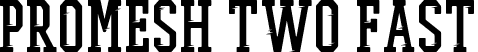 PROMESH Two Fast font - PROMESH-TwoFast.ttf