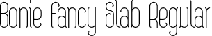 Bonie Fancy Slab Regular font - BonieFancySerifRegular.otf