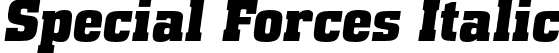 Special Forces Italic font - special forces it.otf