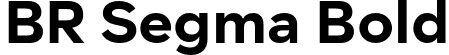 BR Segma Bold font - BRSegma-Bold.otf