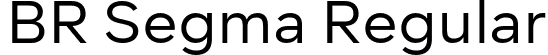 BR Segma Regular font - BRSegma-Regular.otf