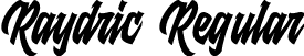 Raydric Regular font - Raydric.otf