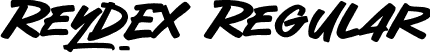 Reydex Regular font - reydex-vm6xm.otf