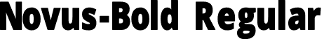 Novus-Bold Regular font - Novus-Bold.otf