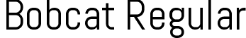 Bobcat Regular font - Bobcat-Regular.ttf