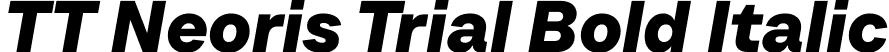 TT Neoris Trial Bold Italic font - TT-Neoris-Trial-Bold-Italic.ttf