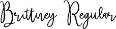 Brittney Regular font - Brittney-MVYae.otf