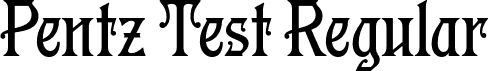 Pentz Test Regular font - pentztest-regular.otf