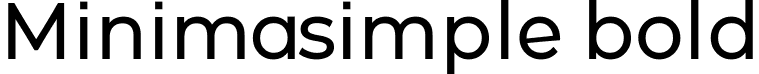 Minimasimple bold font - minimasimple-bold.ttf