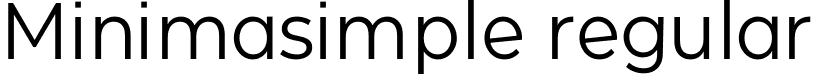 Minimasimple regular font - minimasimple-regular.ttf