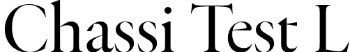 Chassi Test L font - ChassiTestL-Regular.otf