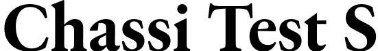 Chassi Test S font - ChassiTestS-Bold.otf