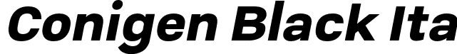 Conigen Black Ita font - Conigen-BlackItalic.otf