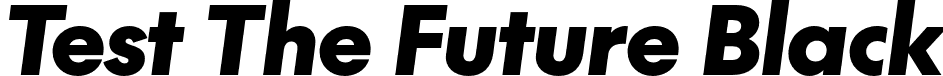 Test The Future Black font - TestTheFuture-BlackItalic.otf