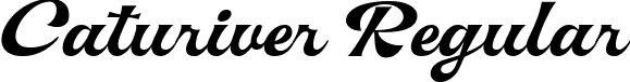 Caturiver Regular font - Caturiver-Demo.ttf