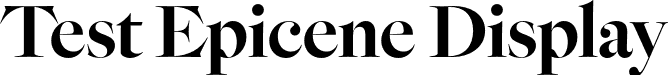 Test Epicene Display font - TestEpiceneDisplay-Bold.otf