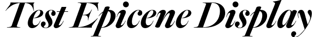 Test Epicene Display font - TestEpiceneDisplay-BoldItalic.otf