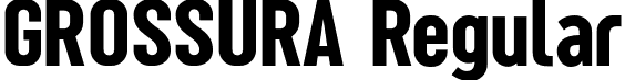 GROSSURA Regular font - GROSSURA.otf