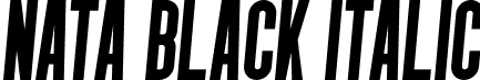 Nata Black Italic font - MysticalType - Nata-BlackItalic.otf