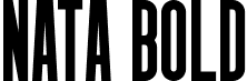 Nata Bold font - MysticalType - Nata-Bold.otf