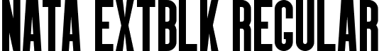 Nata ExtBlk Regular font - MysticalType - Nata-ExtraBlack.otf