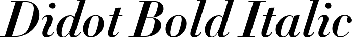 Didot Bold Italic font - Didot Bold Italic.ttf