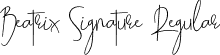 Beatrix Signature Regular font - Beatrix Signature.otf