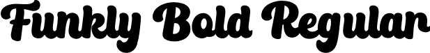 Funkly Bold Regular font - Funkly Bold.otf