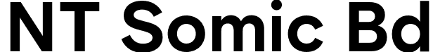 NT Somic Bd font - NTSomic-Bold.otf