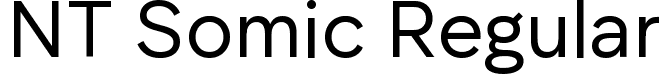 NT Somic Regular font - NT Somic-VF.ttf