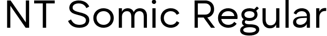 NT Somic Regular font - NTSomic-Regular.ttf