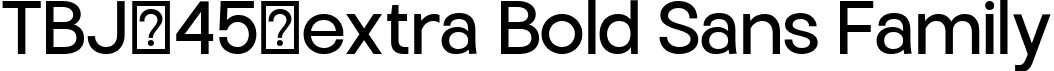 TBJ-45-extra Bold Sans Family font - TBJEndgraphMini-Regular.ttf