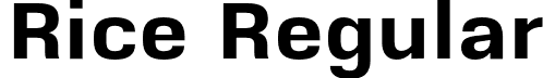 Rice Regular font - Rice-Bold.otf