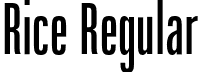 Rice Regular font - Rice-BookCondensed.otf