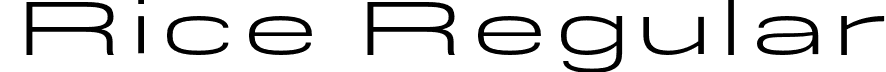 Rice Regular font - Rice-BookExpanded.otf