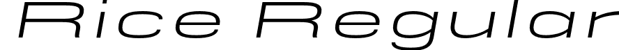 Rice Regular font - Rice-BookExpandedOblique.otf