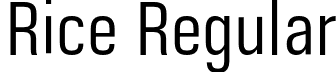 Rice Regular font - Rice-BookNarrow.otf