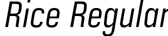 Rice Regular font - Rice-BookNarrowOblique.otf