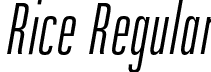 Rice Regular font - Rice-ExtLtCondObliq.otf