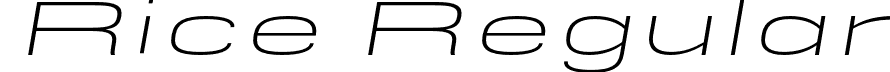 Rice Regular font - Rice-ExtLtExpObliq.otf