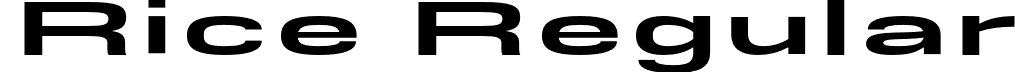 Rice Regular font - Rice-ExtraBoldExpanded.otf