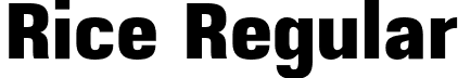 Rice Regular font - Rice-ExtraBoldNarrow.otf