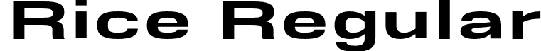 Rice Regular font - Rice-ExtraBoldWide.otf